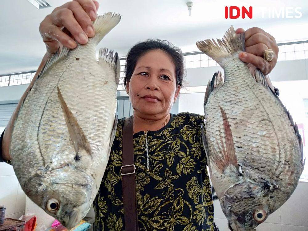 IDN Times/Fariz Fardianto