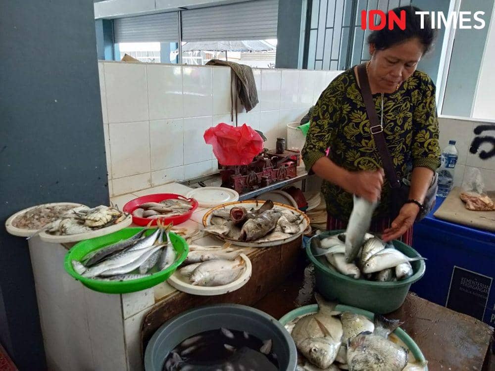 IDN Times/Fariz Fardianto