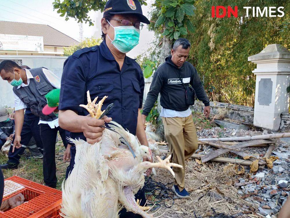 IDN Times/Fariz Fardianto