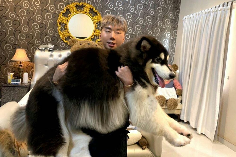 instagram.com/roykiyoshi