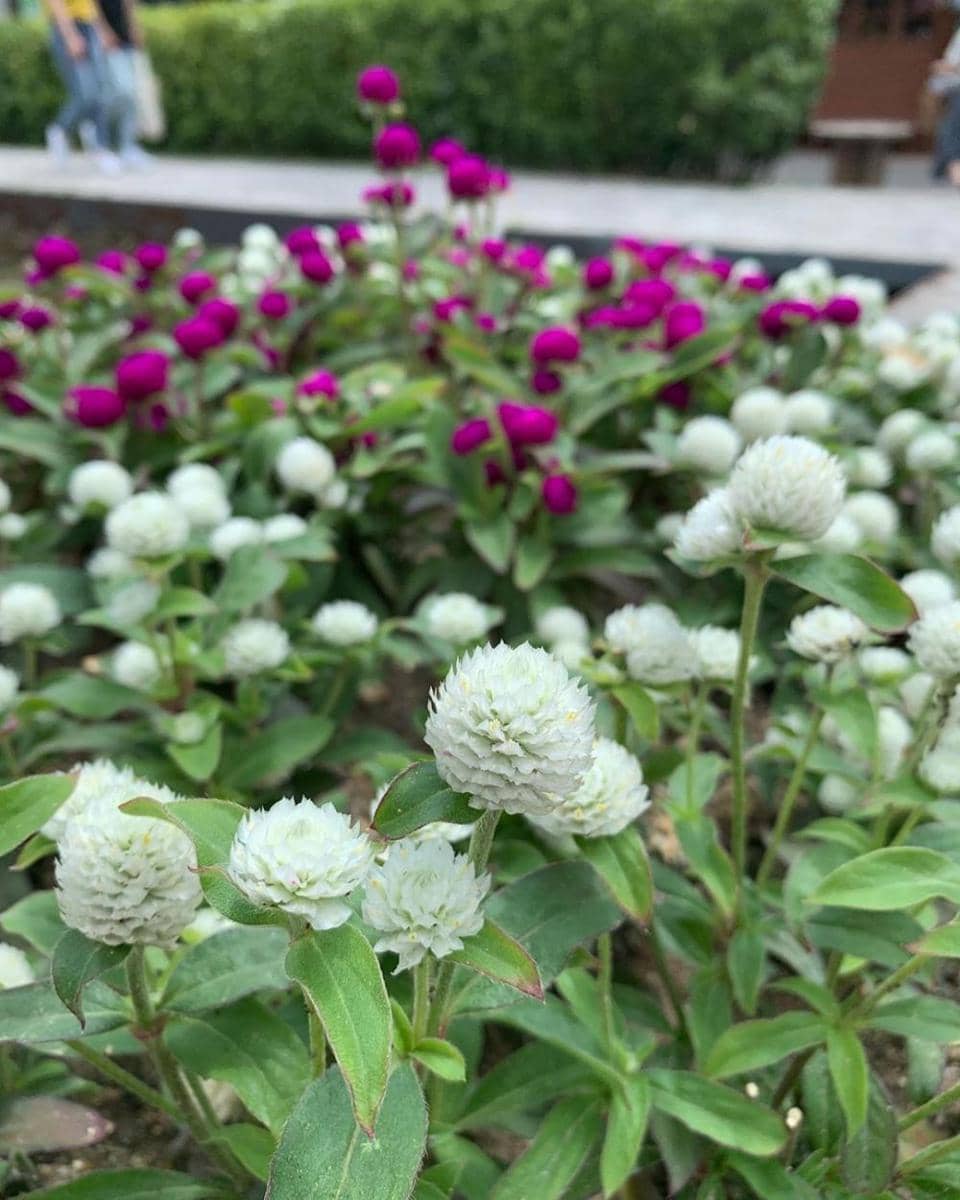 instagram.com/badgirl_rules