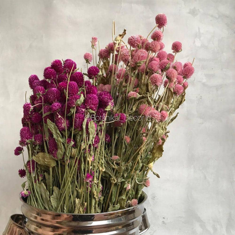 instagram.com/botanikal_decor.id