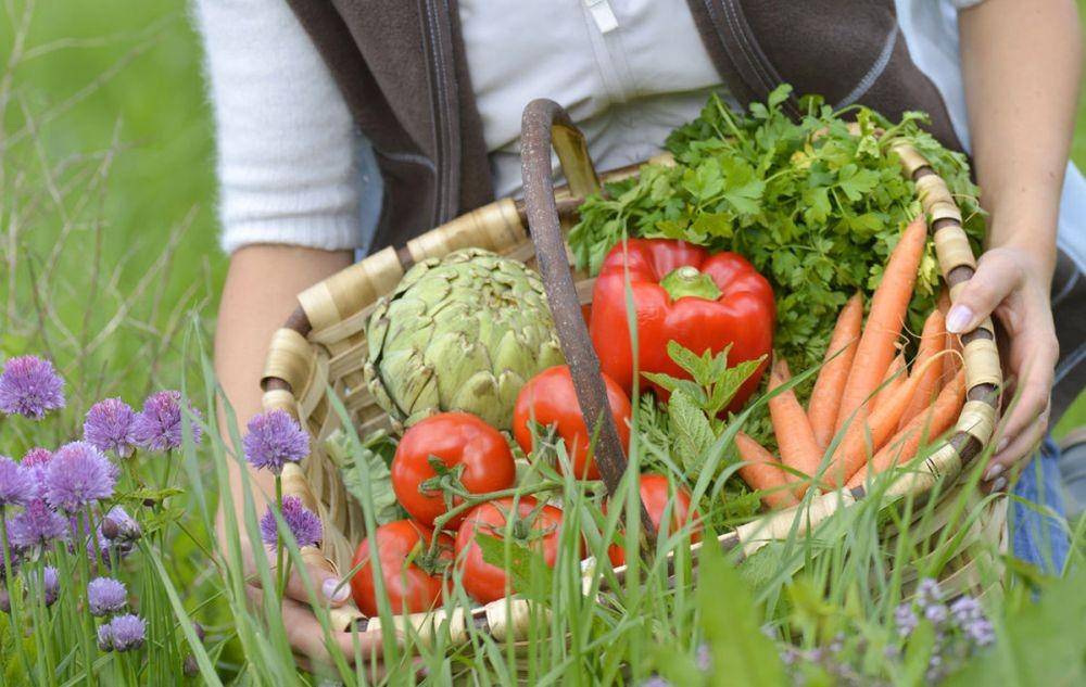 seasonedhomemaker.com