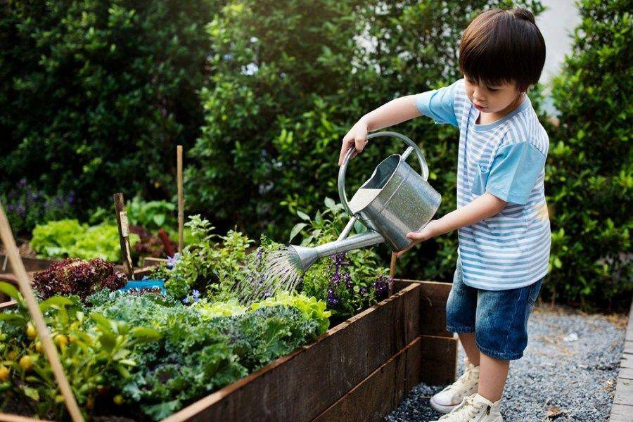 bigblogofgardening.com