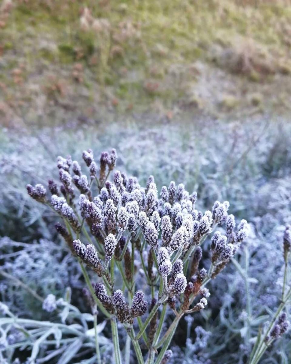 Instagram.com/muzakir_a