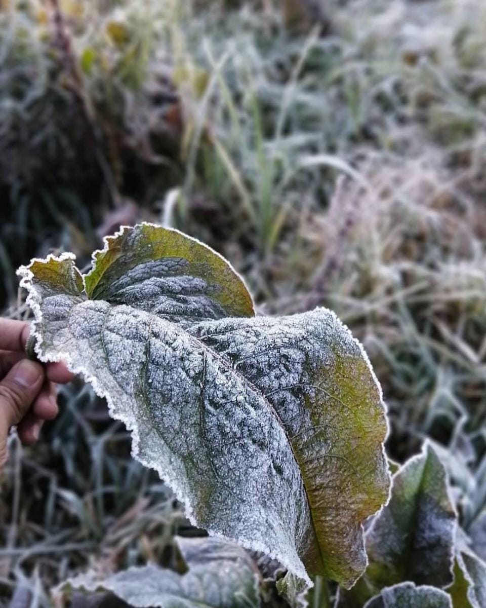 Instagram.com/muzakir_a