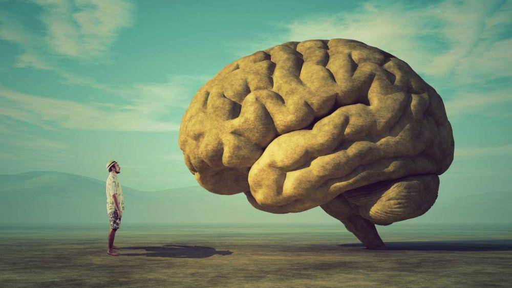 singularityhub.com