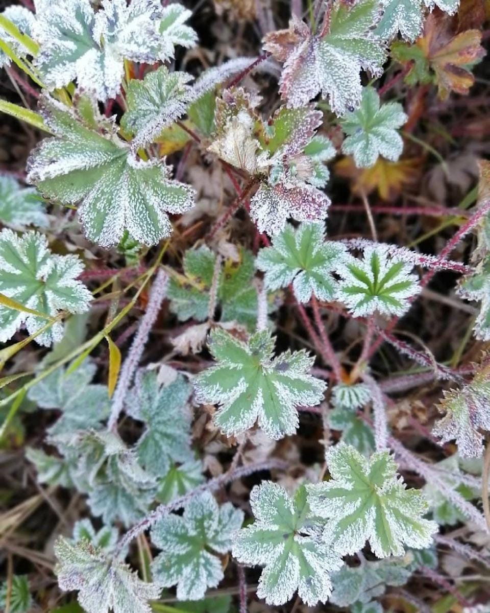 Instagram.com/tyaa.dewi