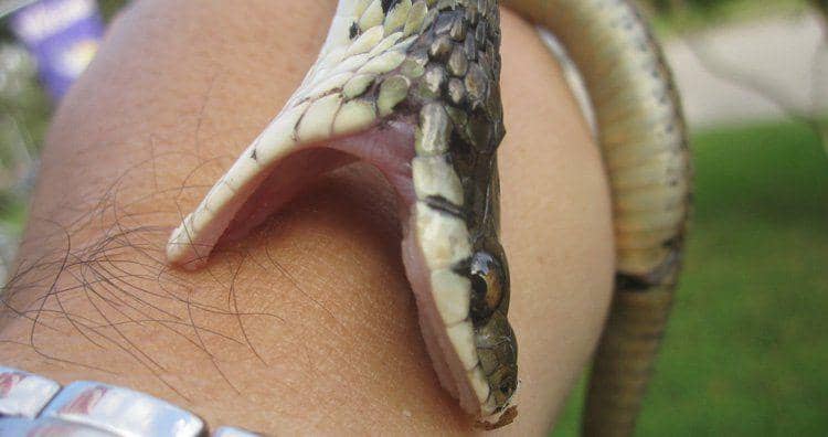 flickr.com/tonyalter