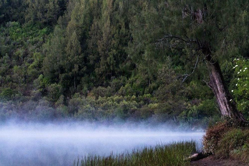 Instagram.com/zackytea