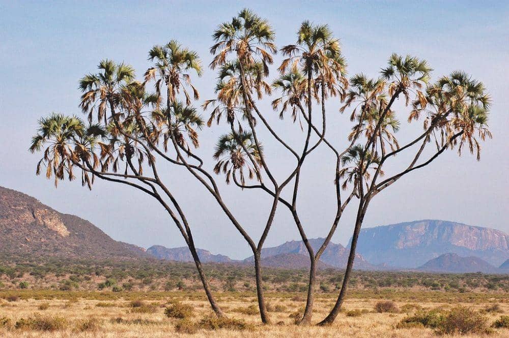 flickr.com/global_nomad1