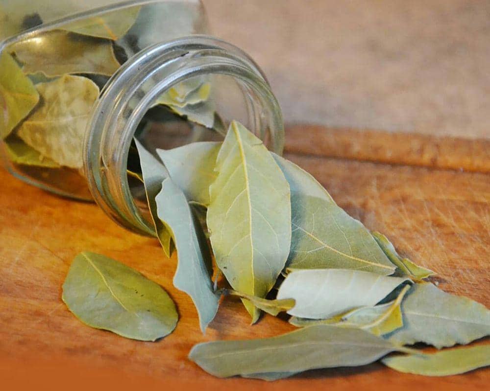 instagram.com/miburungdara