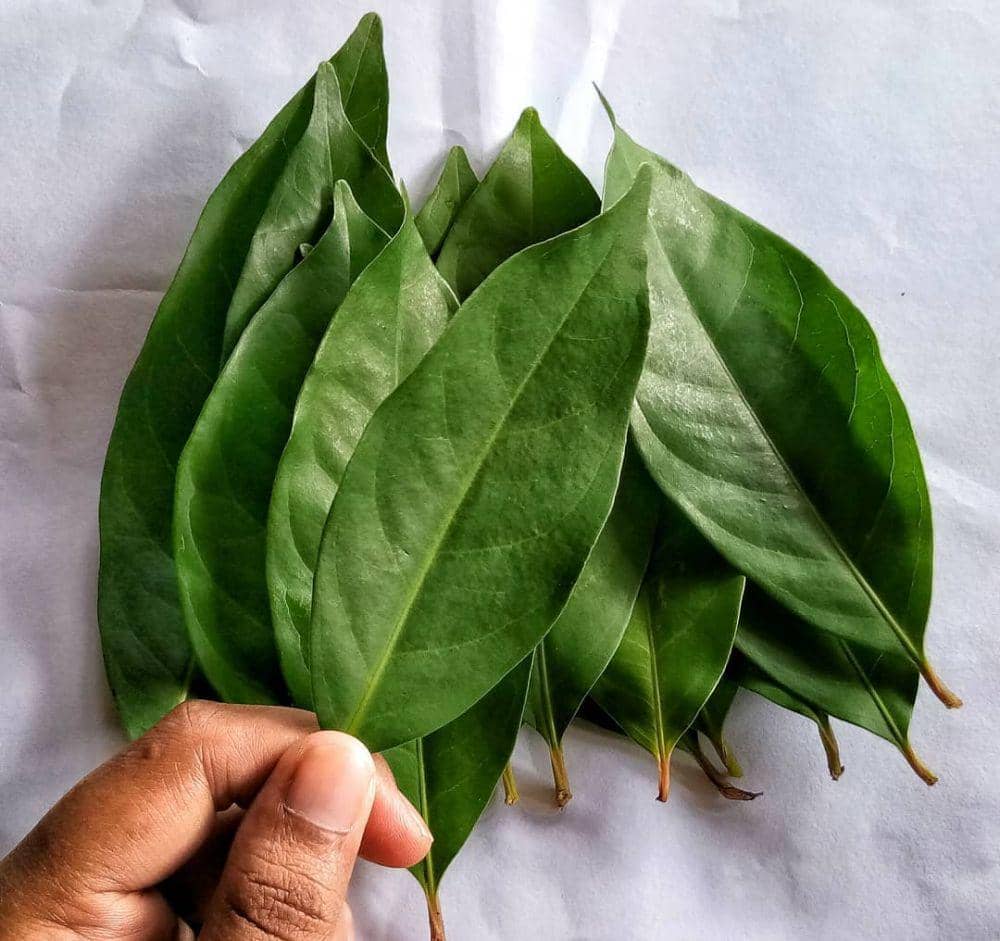 instagram.com/bu_mar_sayur