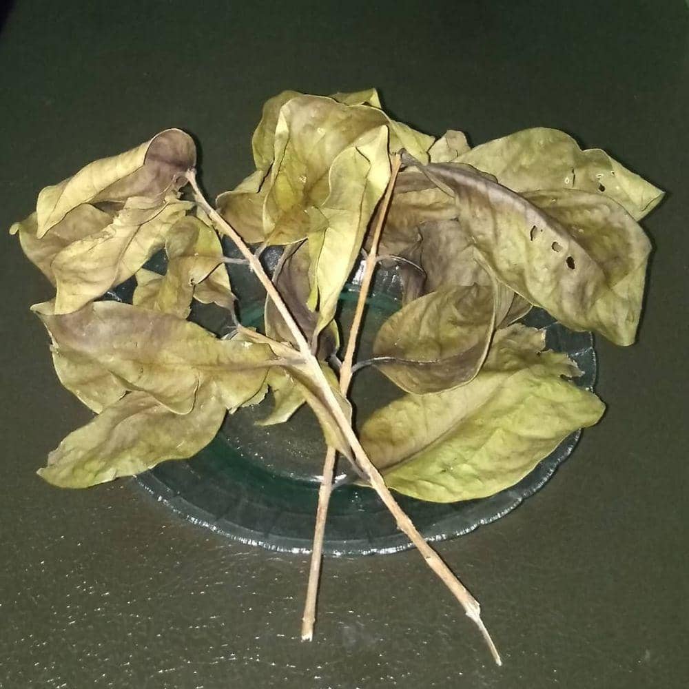 instagram.com/kikki_611