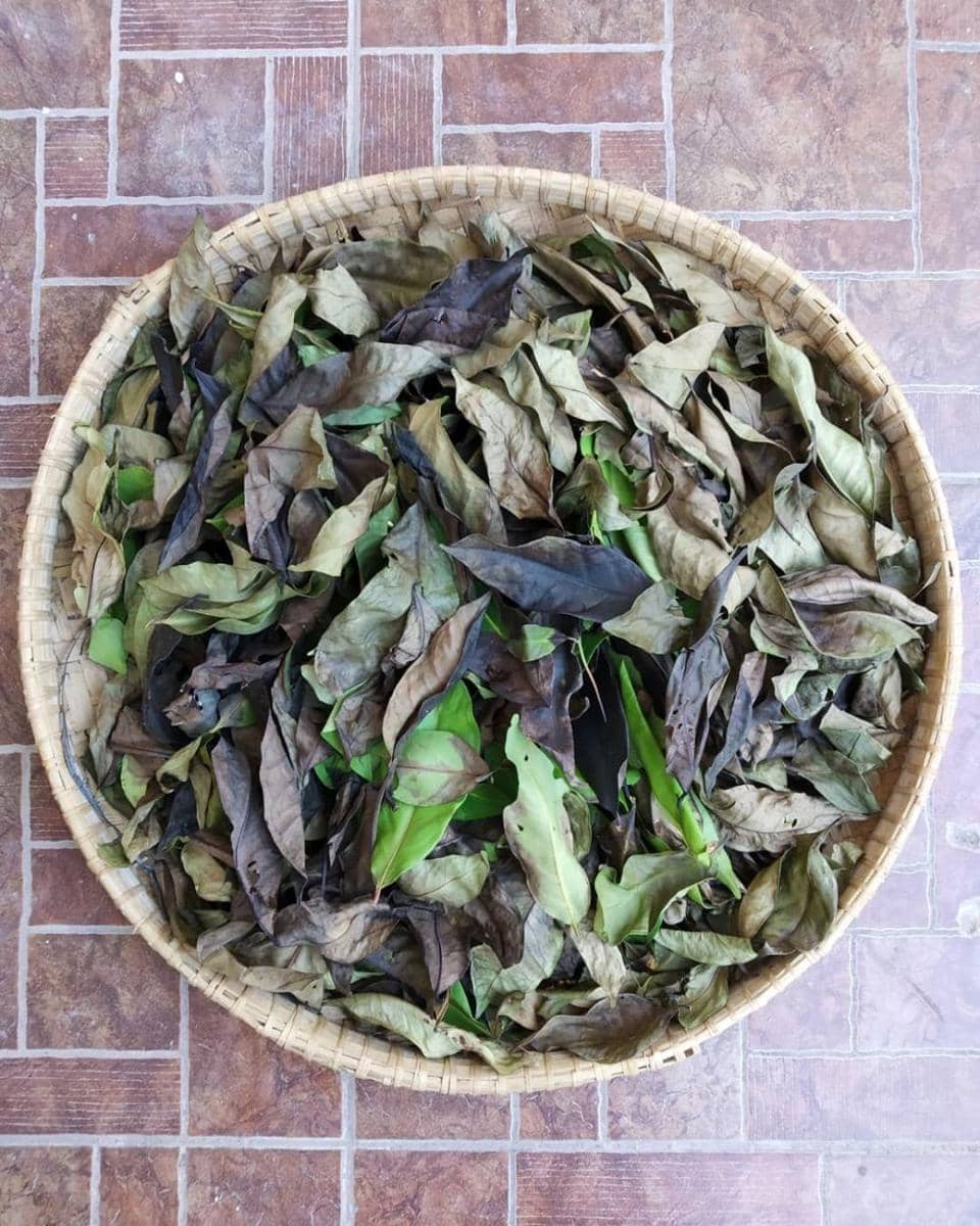 instagram.com/rumah.reina