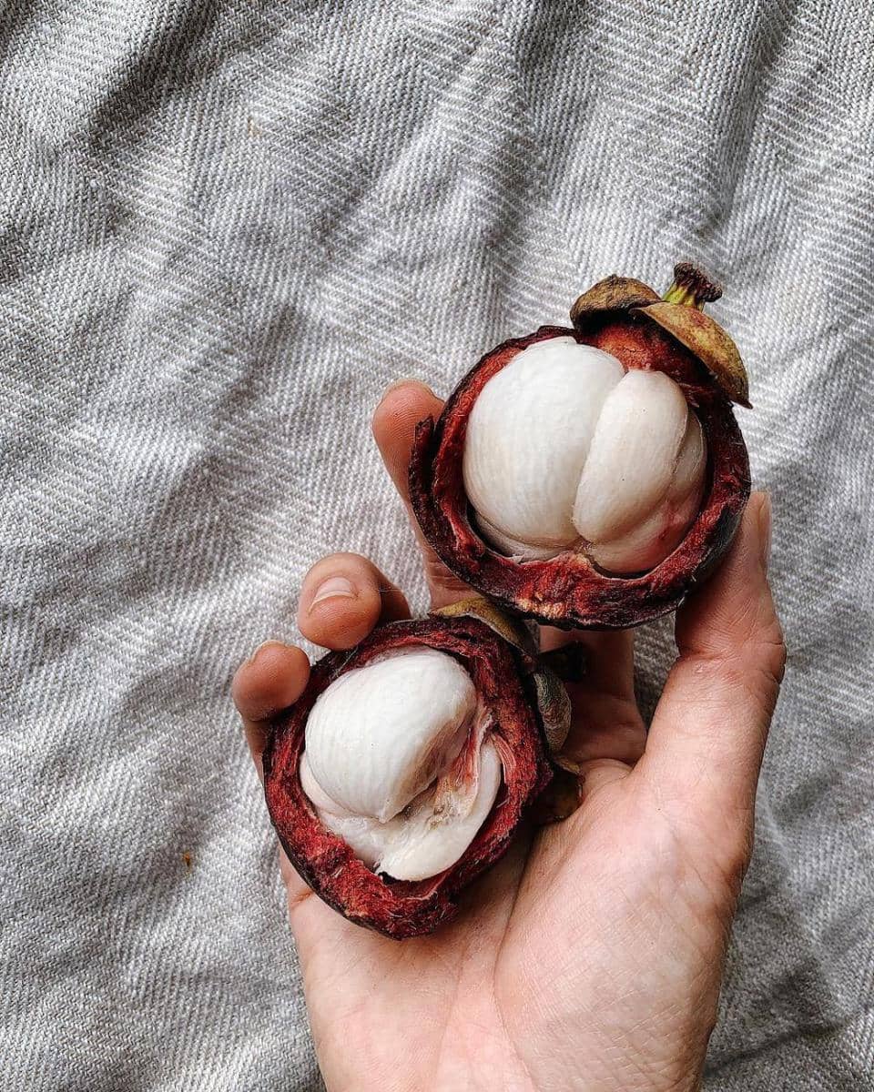 Instagram/mformalvellous