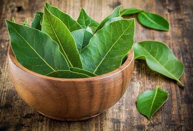 instagram.com/verachen._