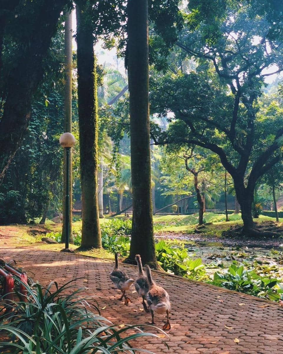 instagram.com/naufalfirzaf