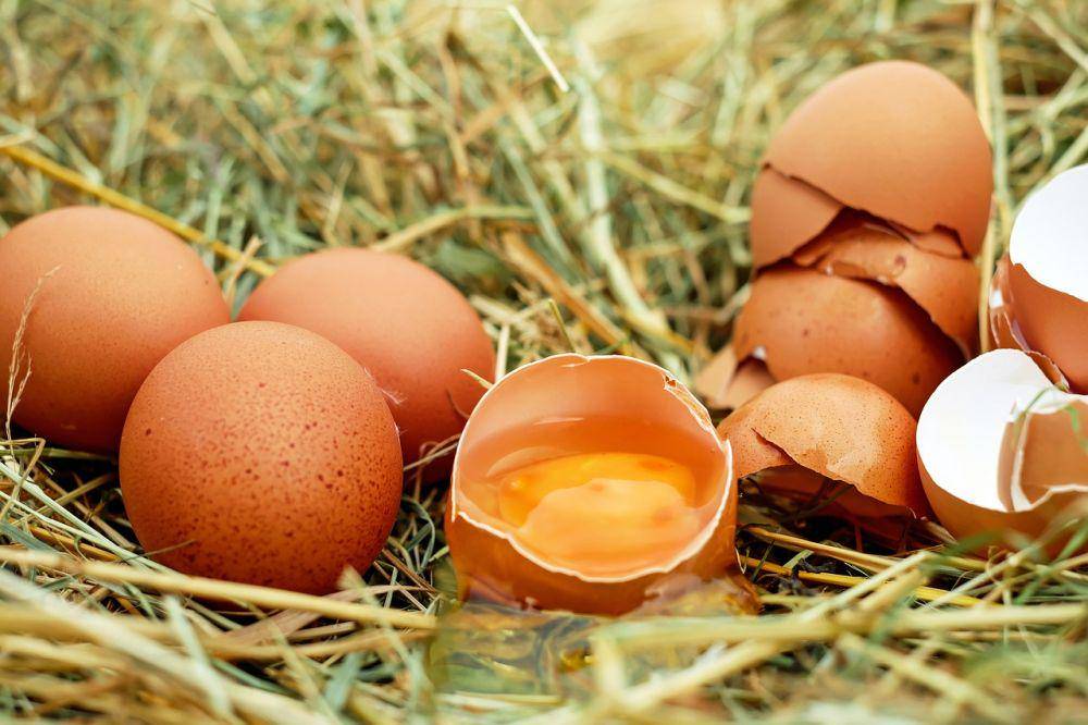 Pixabay.com/Putih Telur