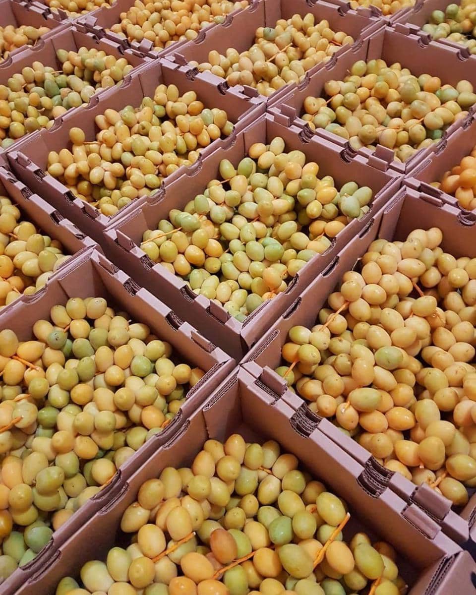 instagram.com/kurmamuda_maryam