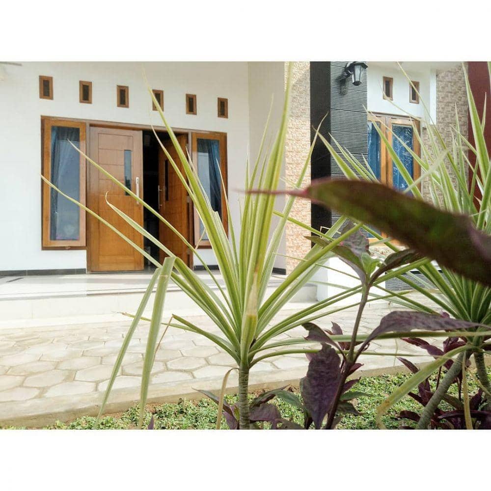 instagram.com/momi.biancaca