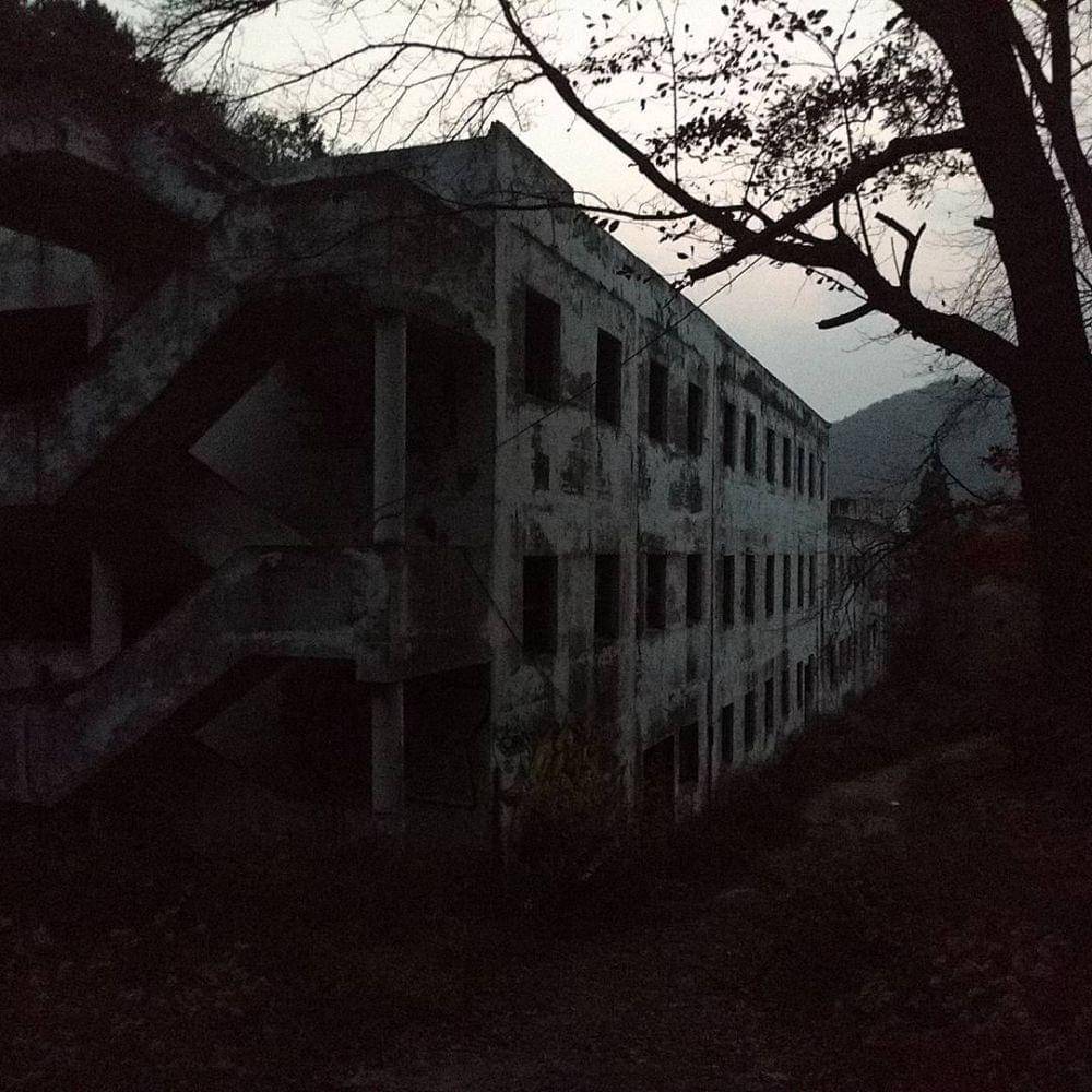 instagram.com/poguez