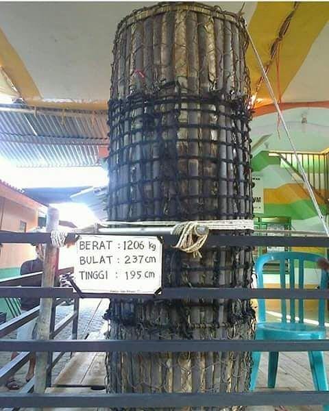 Instagram/@imad_numero