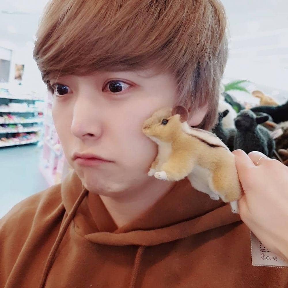 instagram.com/_liustudio_