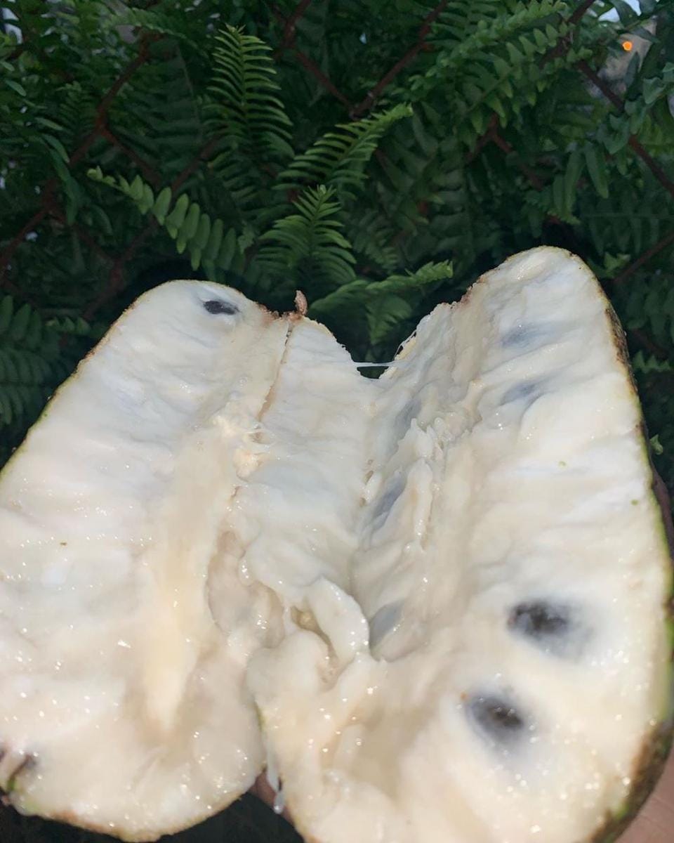 instagram.com/nogm0moe