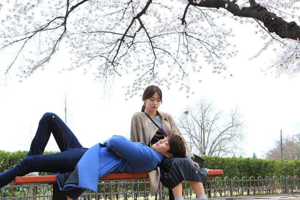 dok. KBS2