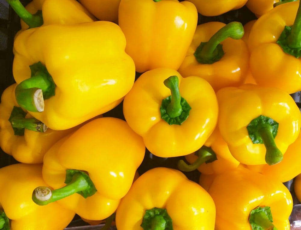 pixabay.com/shutterstock