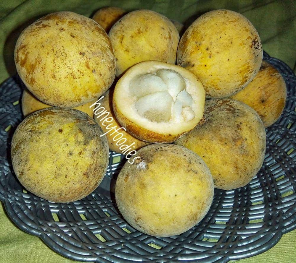 Instagram.com/ myfoodmyfuntastry