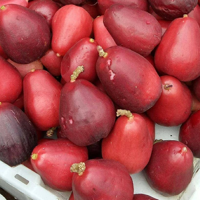 Instagram.com/Angela_ellyana