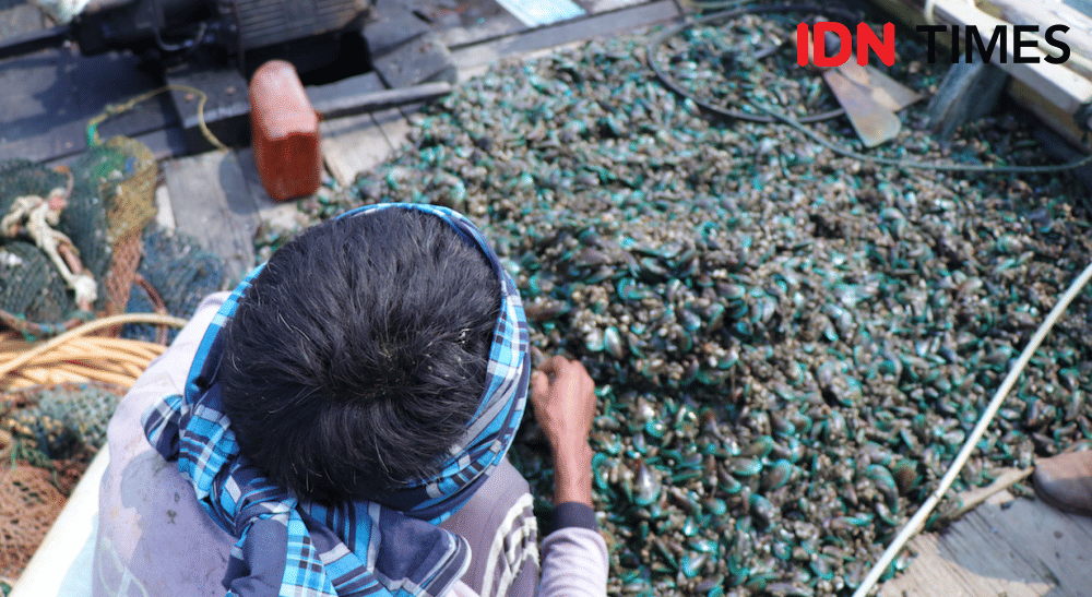 Hasil tangkapan Halil setelah 22 menit menyelam (IDN Times/Vanny El Rahman)