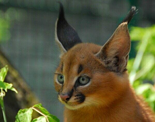 flickr.com/Petra Prager