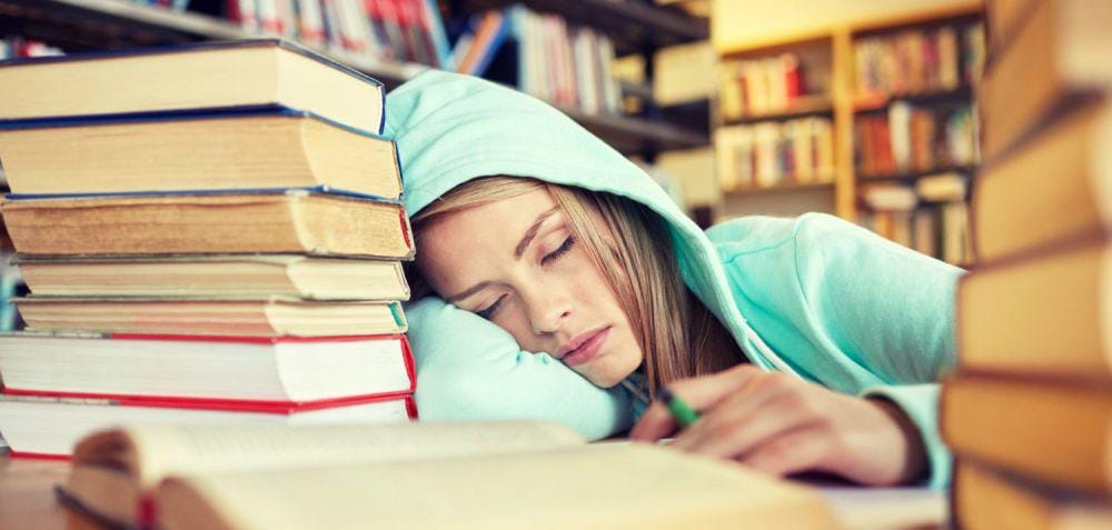 lanternaeducation.com