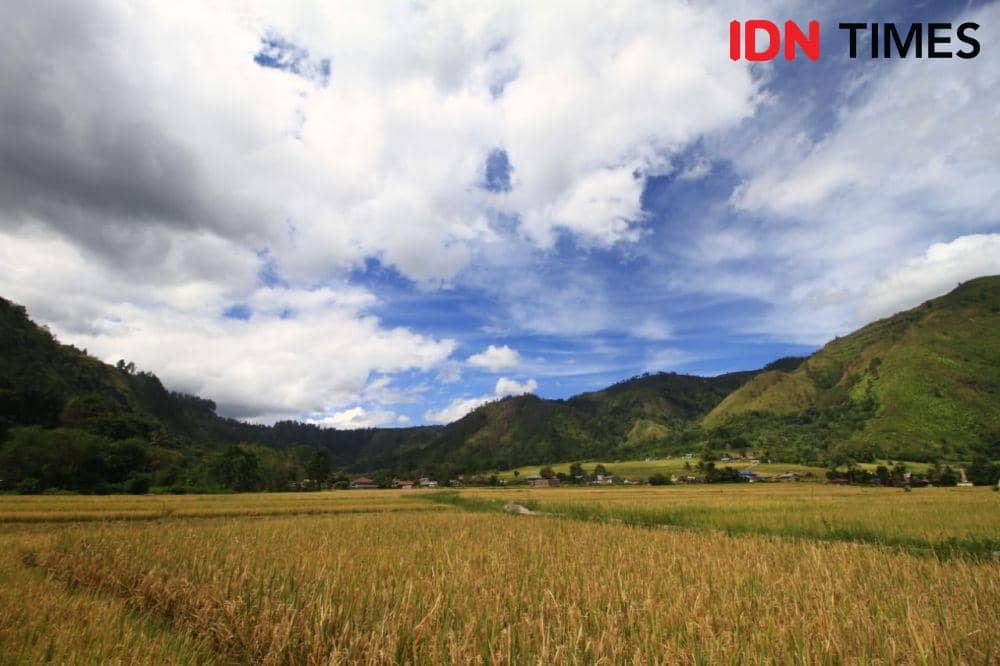 IDN Times/Prayugo Utomo