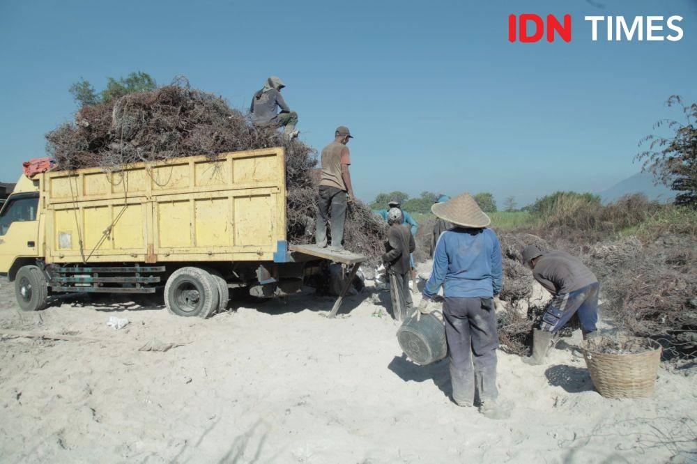 IDN Times/Enggal Hendy Wardhana