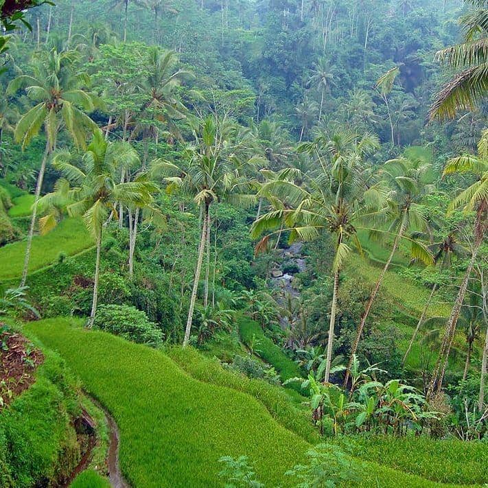 instagram.com/katarina.ondrejkov