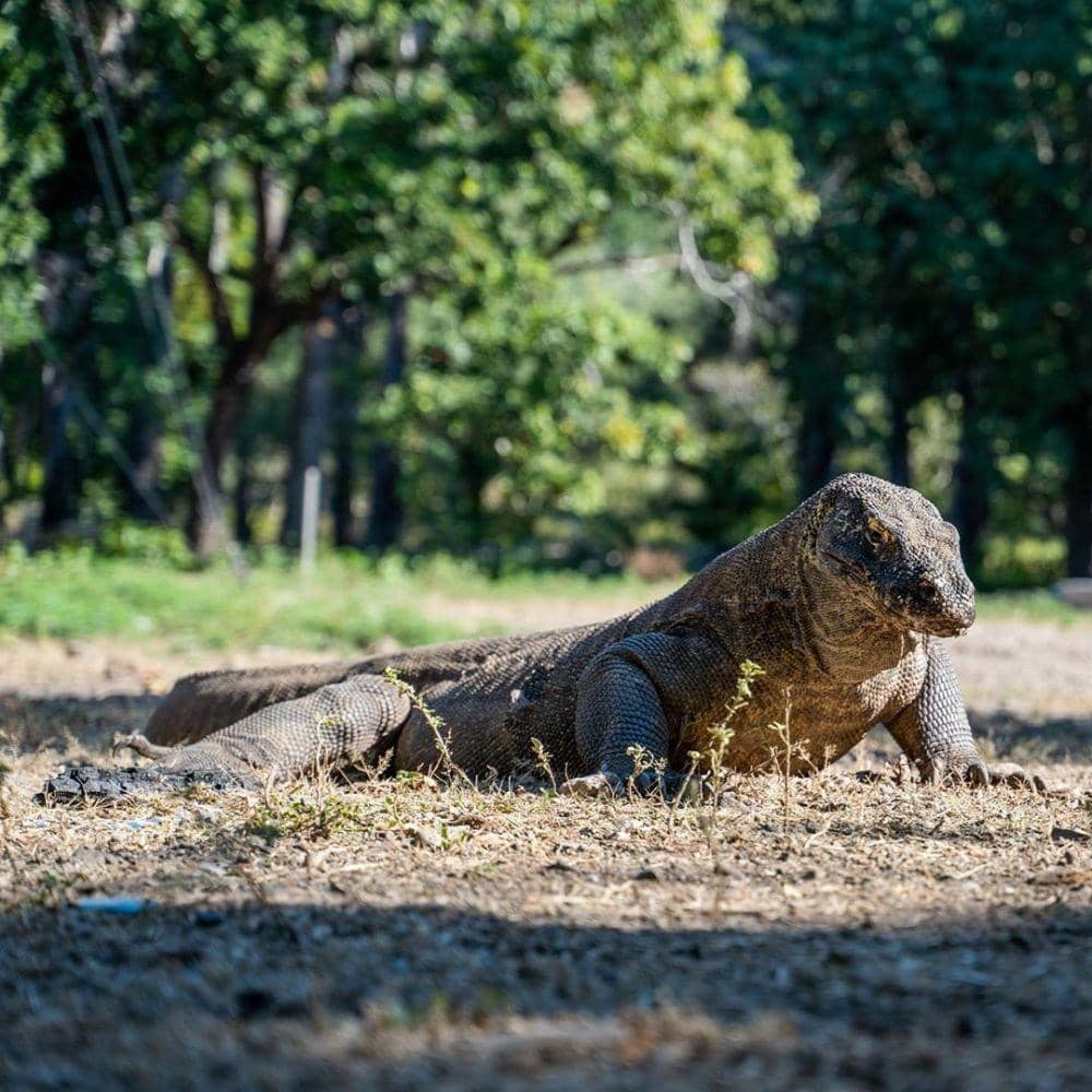 instagram.com/phototumuri