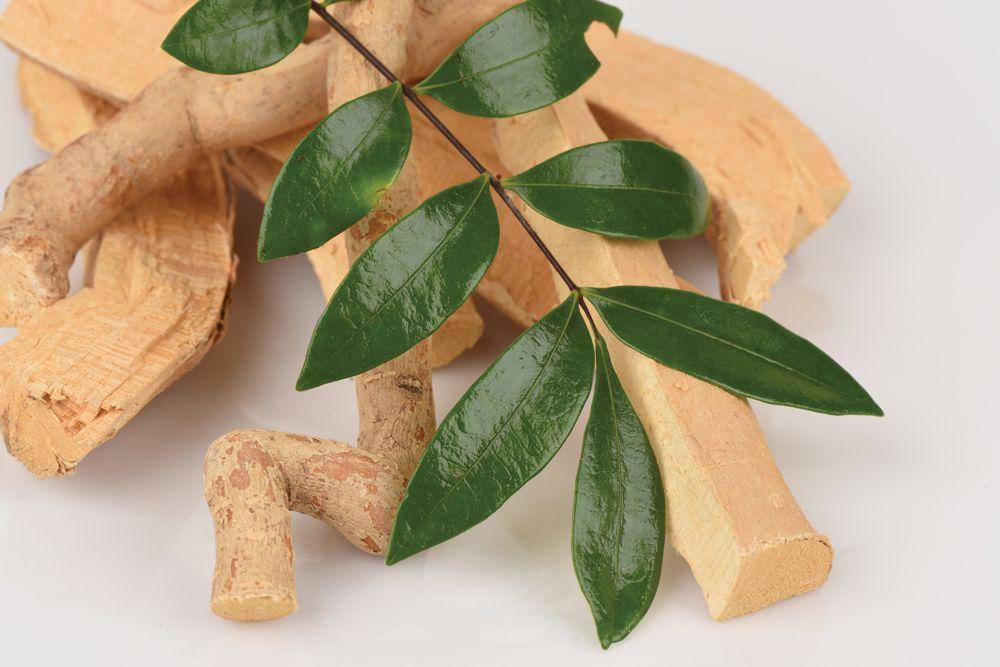 naturalpractitionermag.com
