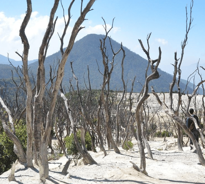 instagram.com/papandayantrip