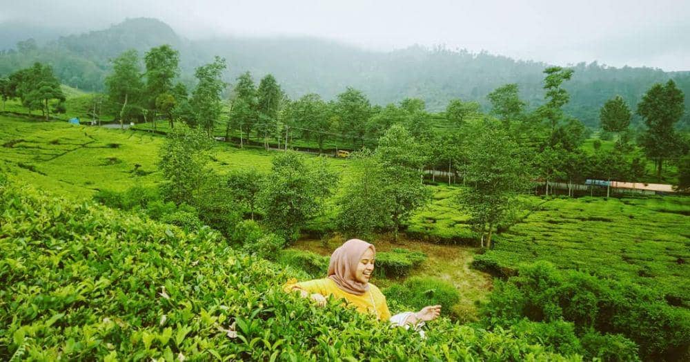 instagram.com/fanihardi