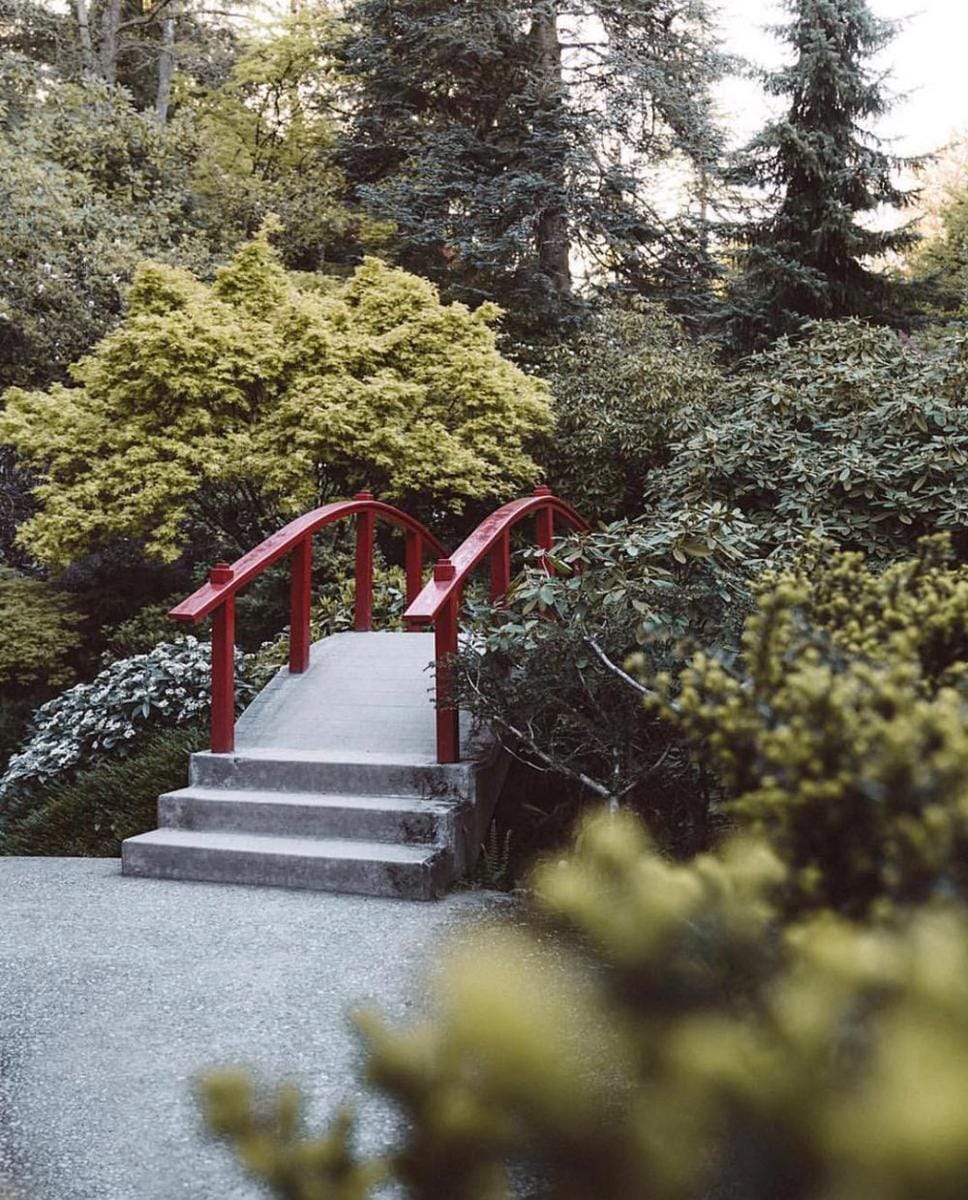 instagram.com/curiocityseattle