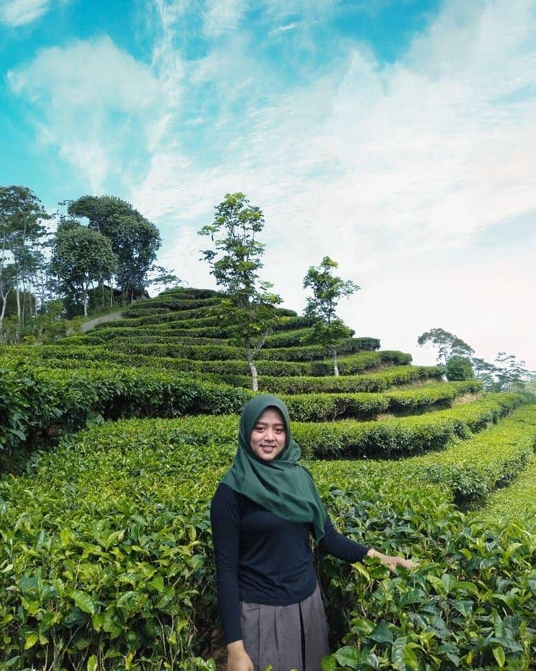 instagram.com/ervinza_