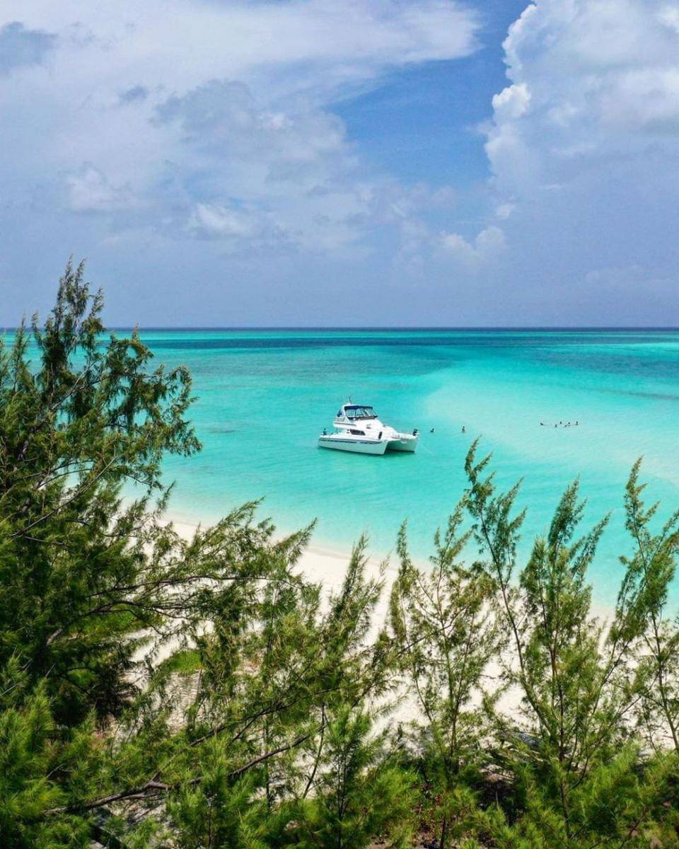 instagram.com/philipshearer