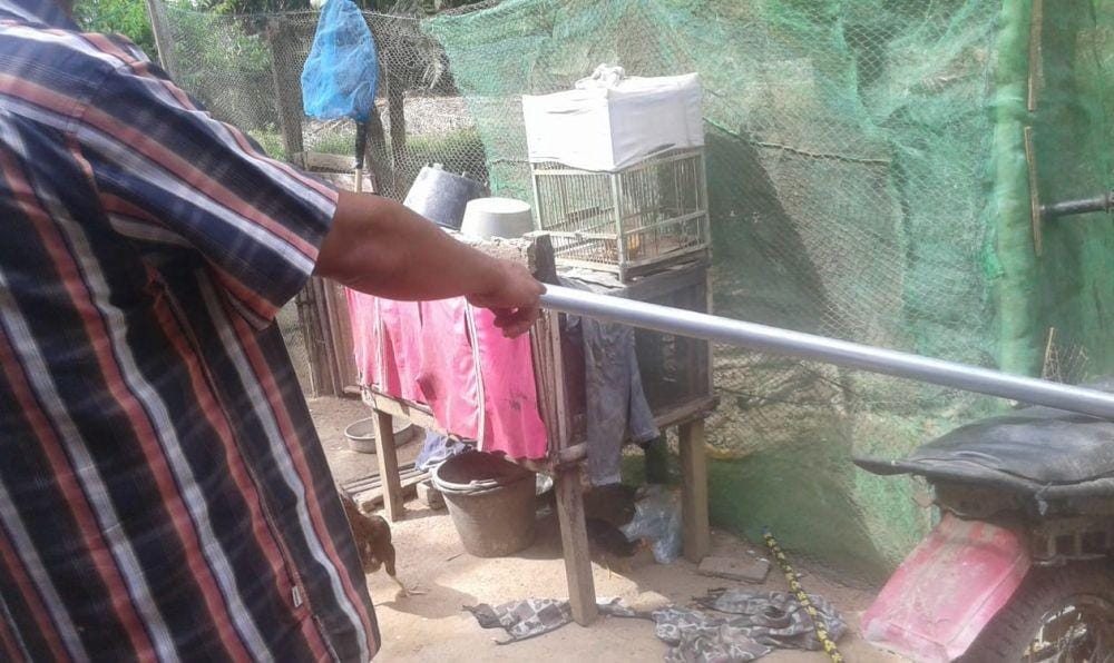 Dok.IDN Times/istimewa