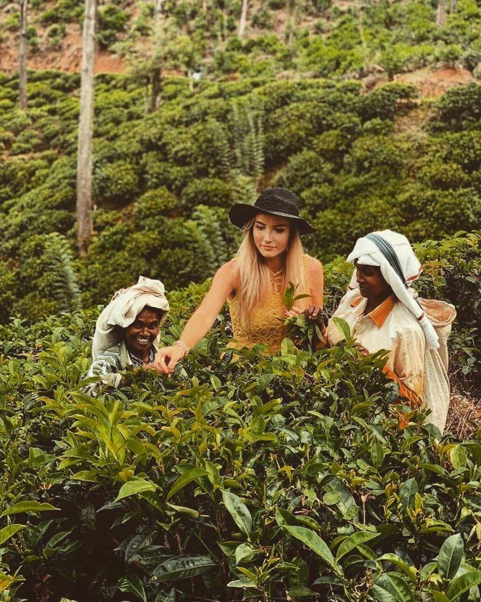 instagram.com/diana___olvecka