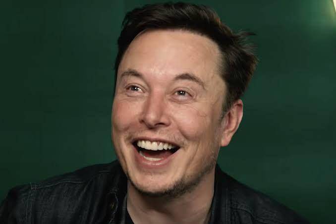 theverge.com