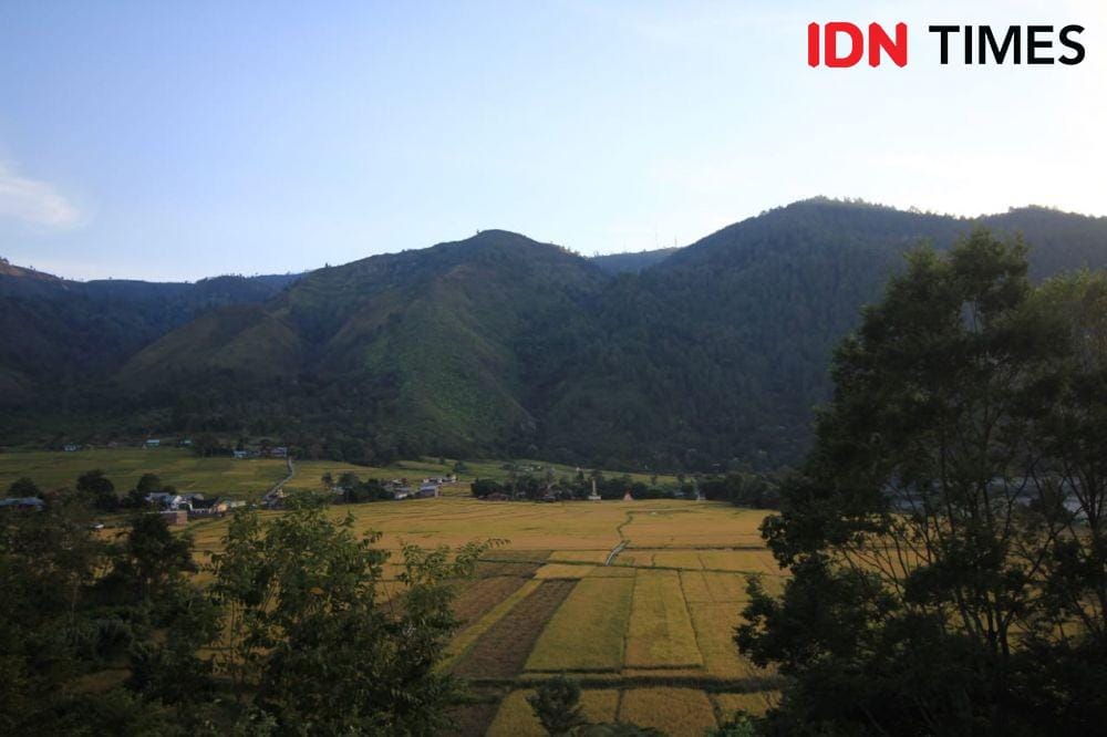 IDN Times/Prayugo Utomo